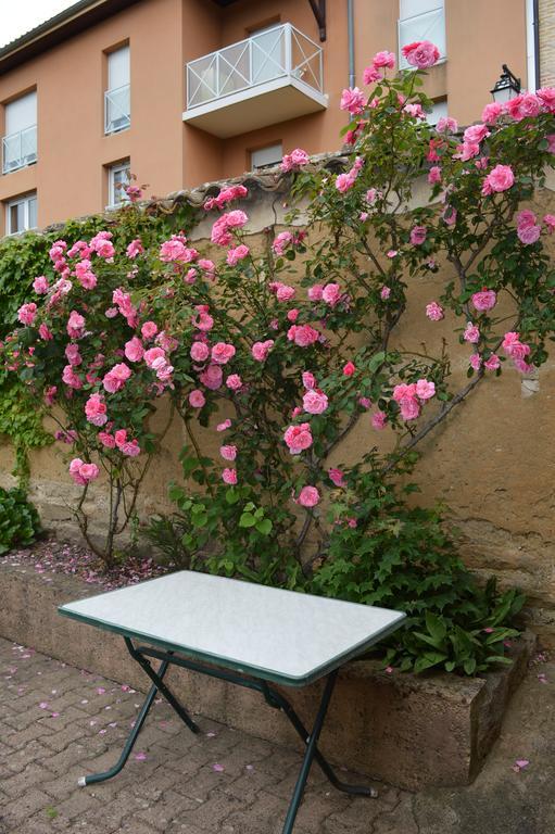 Cote Midi Chambre D'Hote Chaneins Exterior photo